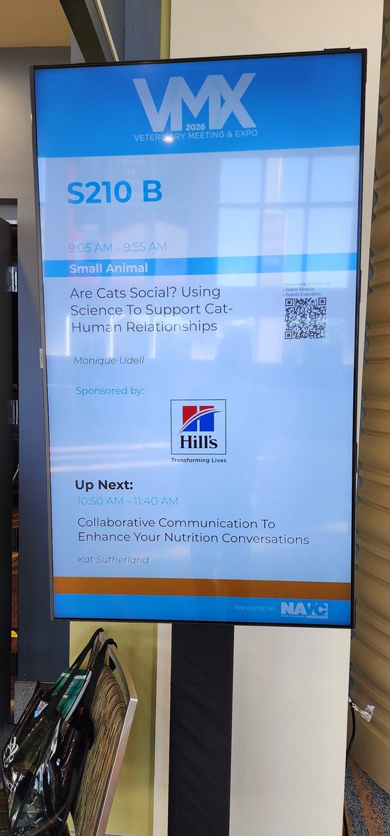 Are Cats Social?   Let's see what the science says!  #VMX2026