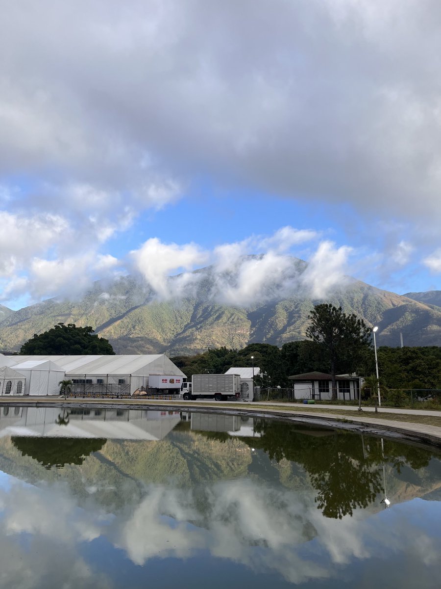 escovargabriela's tweet image. Con ánimo y esperanza, buenos días. 

#UnaMiradaAlParque