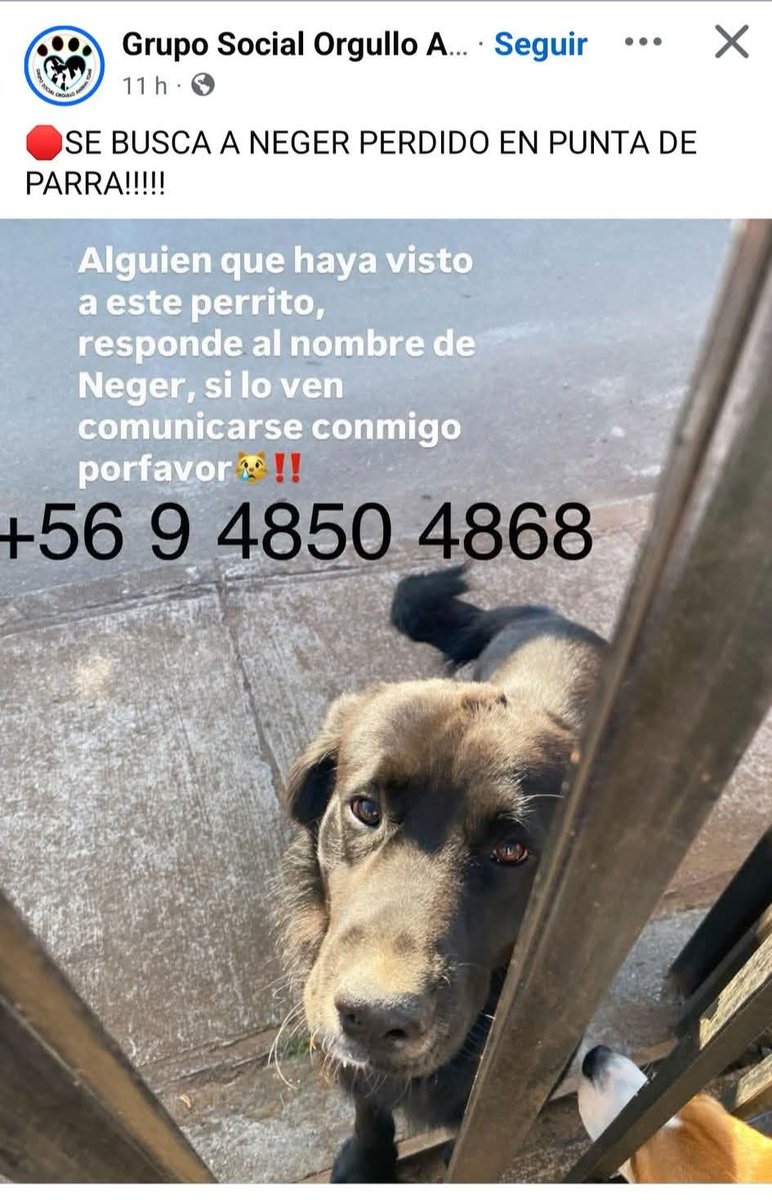 PobleteELF's tweet photo. #URGENTE #Penco #Lirquen #incendio #IncendiosForestales #Biobio #PuntaDeParra https://t.co/XqbwUk3gj0