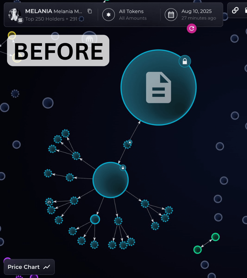 Bubblemaps tweet media