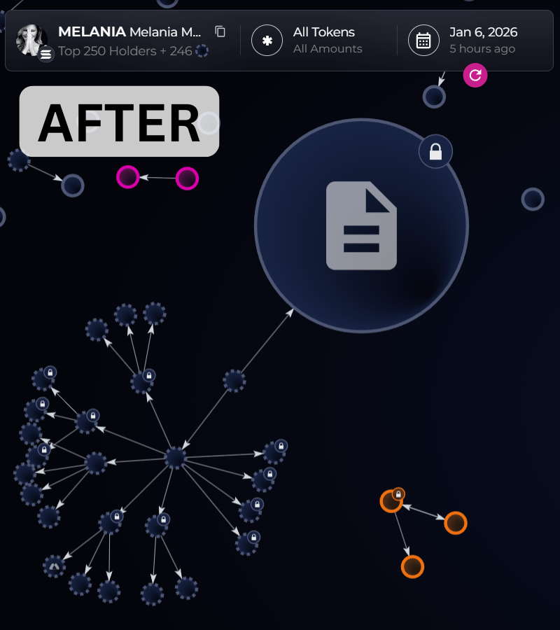 Bubblemaps tweet media
