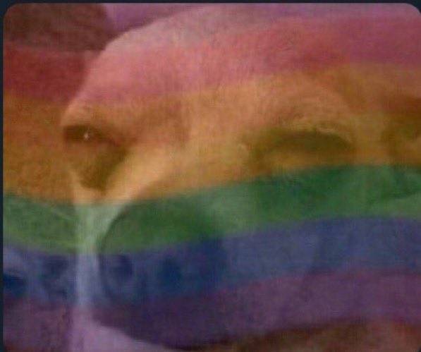 Poor 9000 tweet media