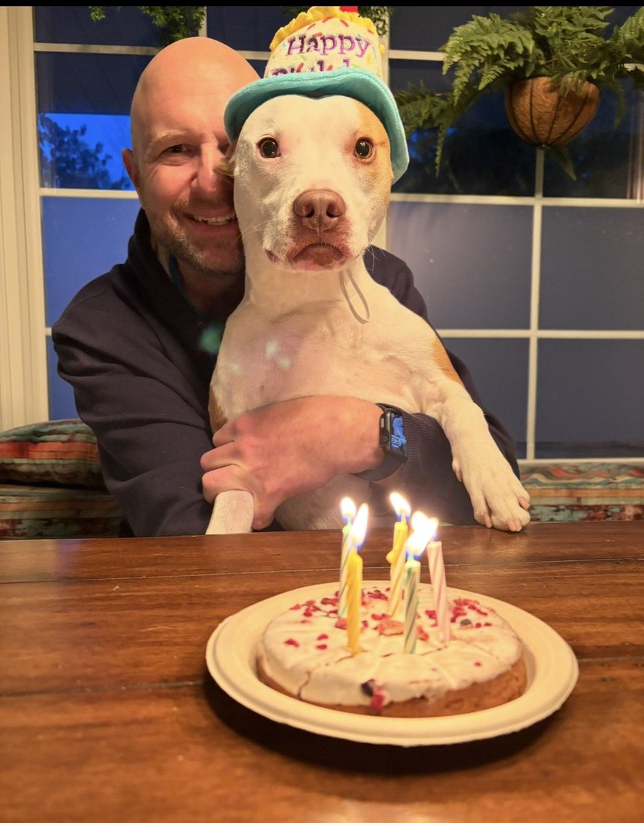 TVAGENTMIKE's tweet photo. Just 3 more days to vote for Toby as America’s Favorite Pet! Vote early, vote often!

Today’s photo:

https://t.co/aPGJULeZVL 

#votetoby https://t.co/1tIZDQzcEP