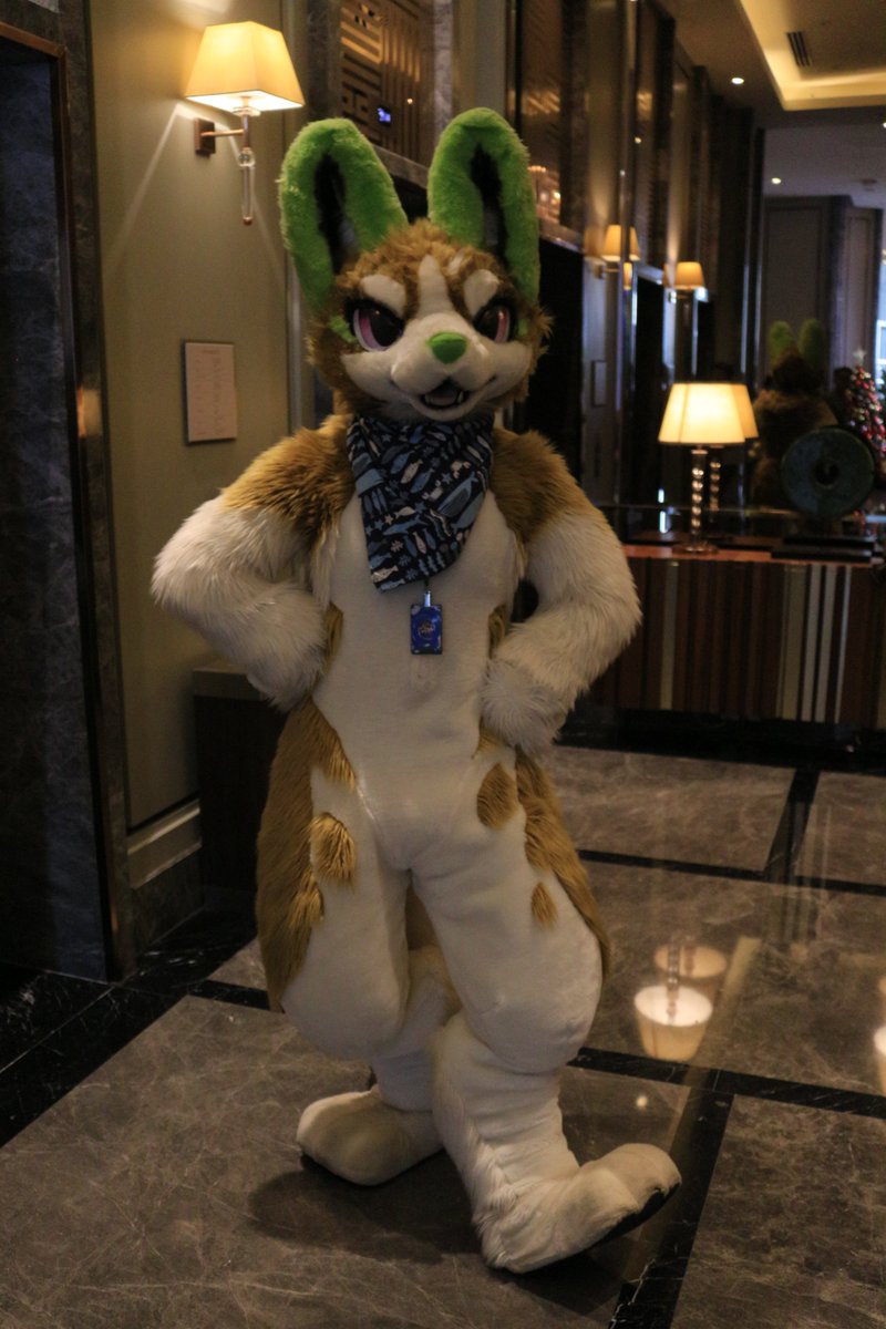 是政　KOREMASA tweet media