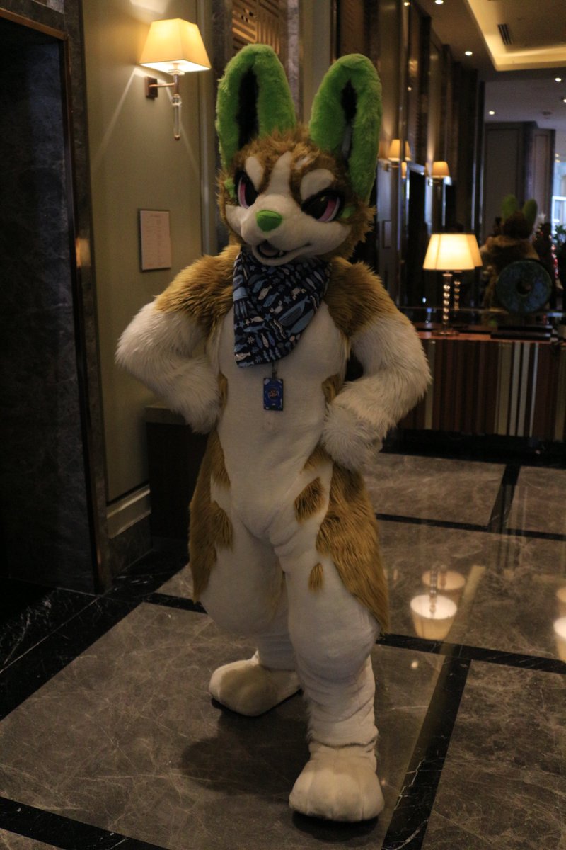 是政　KOREMASA tweet media