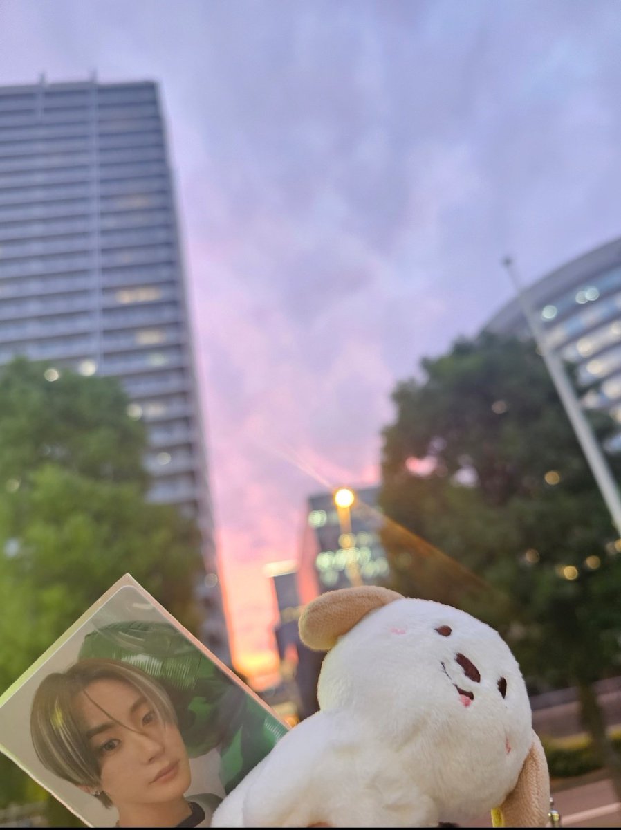 Nuts🥜 tweet media