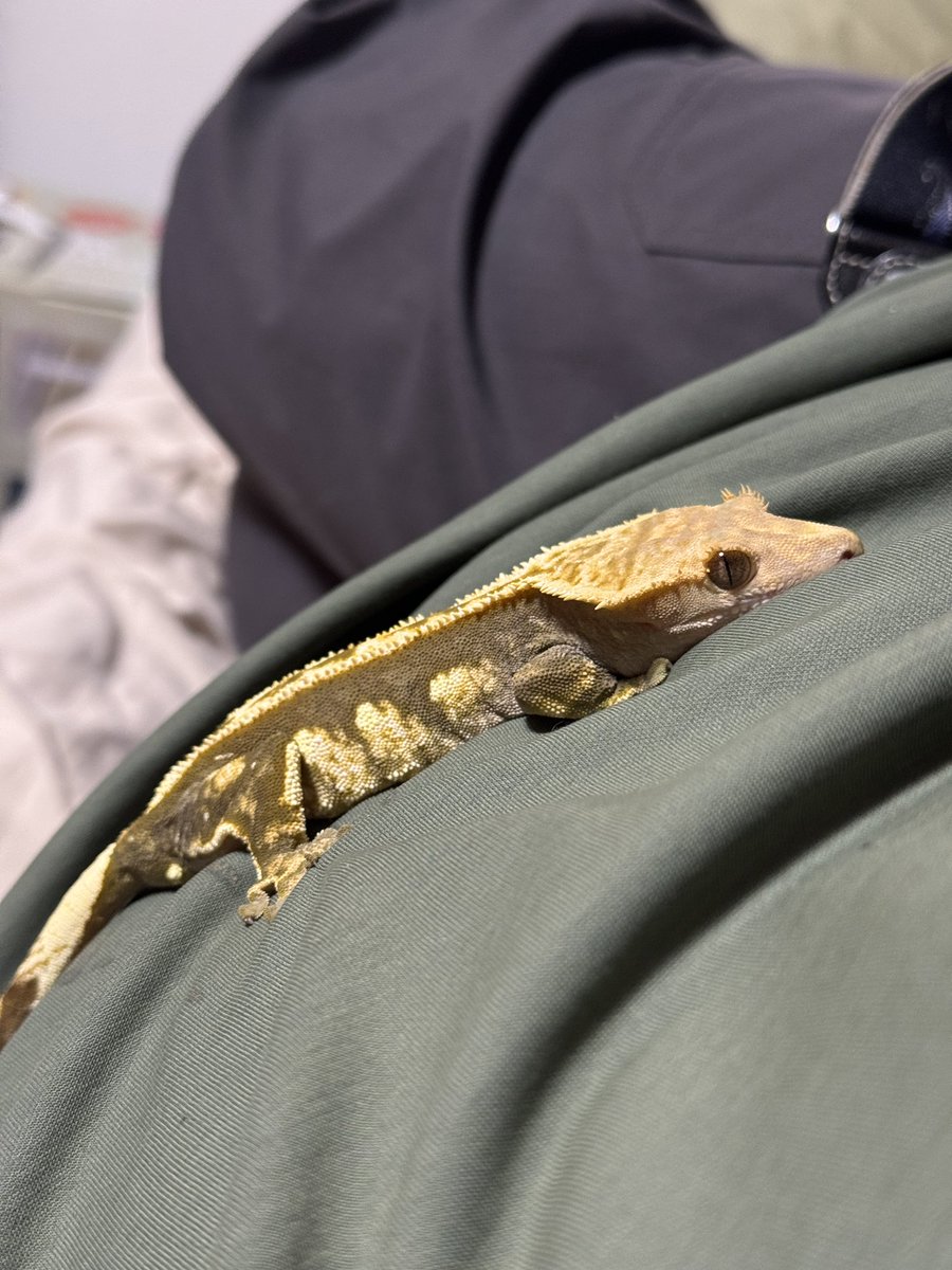 AngryBudget's tweet image. リラックスしとる笑