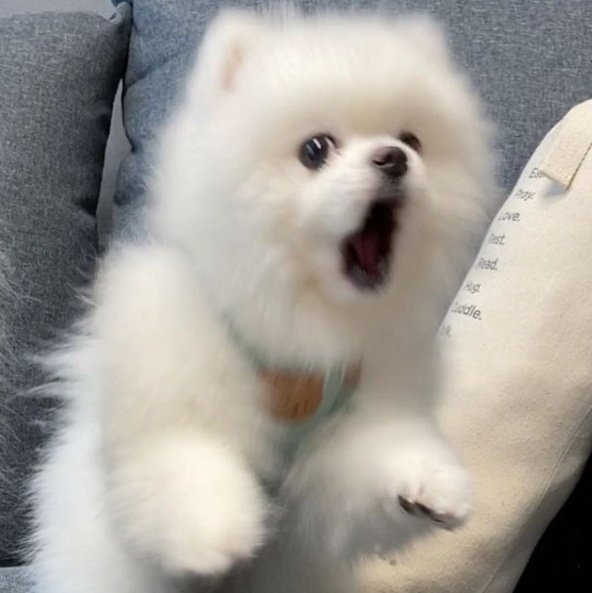 Kem1nn's tweet image. 