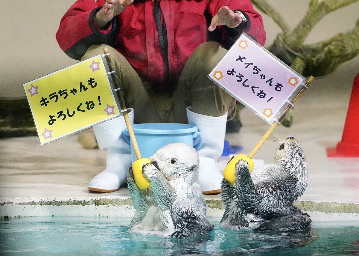 キラちゃん freecompress-4-23.jpg