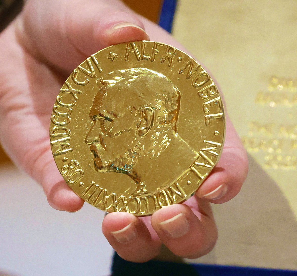 NewsLiberdade's tweet photo. 🚨URGENTE - Trump envia carta ao primeiro-ministro da Noruega e diz que, como não recebeu o Prêmio Nobel, não se sente mais obrigado a pensar em paz 

“Considerando que seu país decidiu não me conceder o Prêmio Nobel da Paz por eu ter parado mais de 8 guerras, já não me sinto obrigado a pensar exclusivamente na paz”,  afirmou.