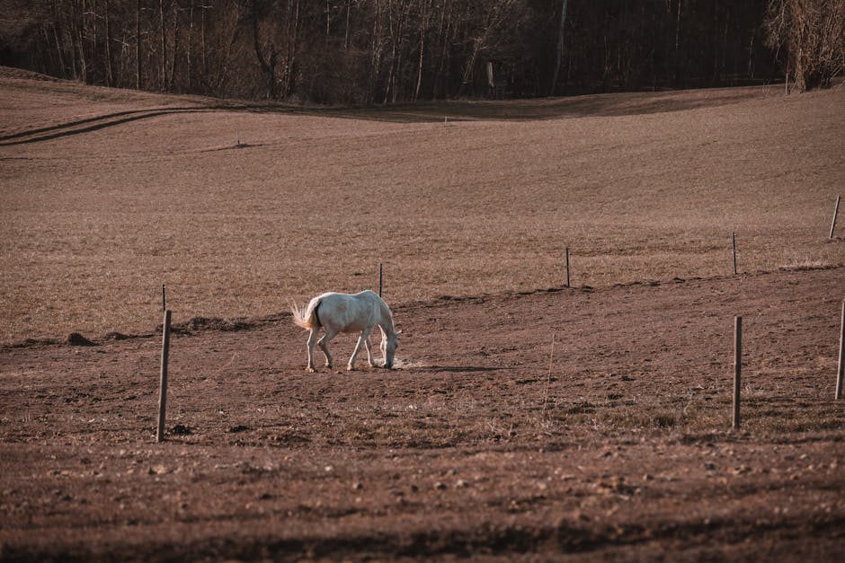 CycIaeFan tweet media