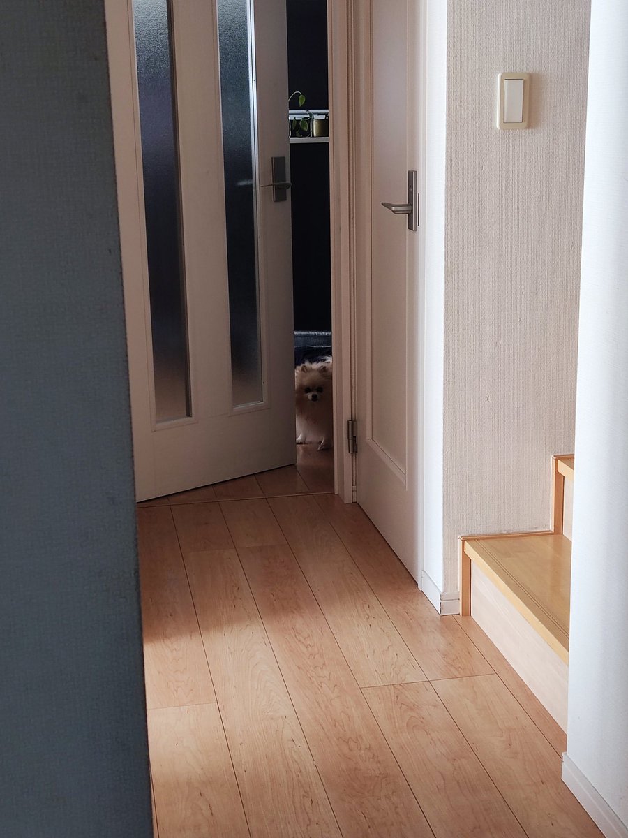 元祖空閑𝕏 tweet media