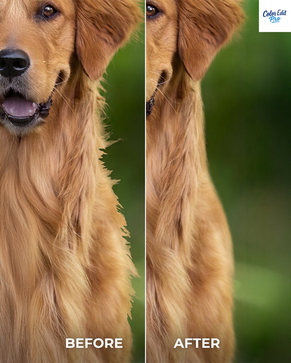 ColorEditPro's tweet image. At a small size, most edits look fine.
At 100% zoom, only proper masking survives.

Details matter more than speed.

Test your images → coloreditpro.com/image-masking-…

#precisionediting #productdetails #photoeditingstudio #brandstandards #ecommercevisuals