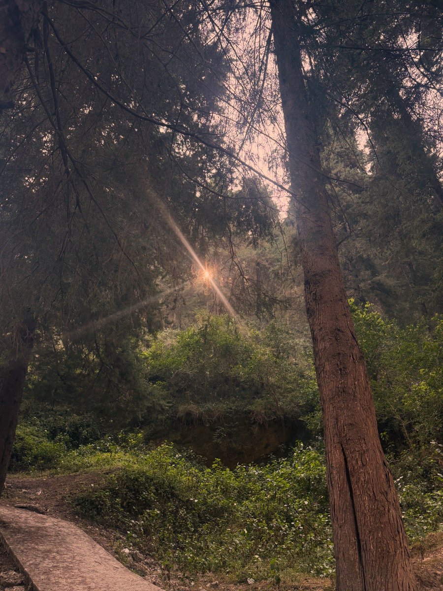 पहाड़, जंगल और हम पहाड़ी 
 अक्सर ये बातें करते हैं अगर पहाड़ ना होते तो क्या होता? क्या तुम होते क्या हम होते क्या होती ये दुनिया, हिमालय में बर्फ ना होती तो क्या बहती ये नदियाँ? 
नदियाँ तो छोड़ो खनन कैसे होता जेबों में बजता रुपया पैसा कैसे जुड़ता ?
👇🏻