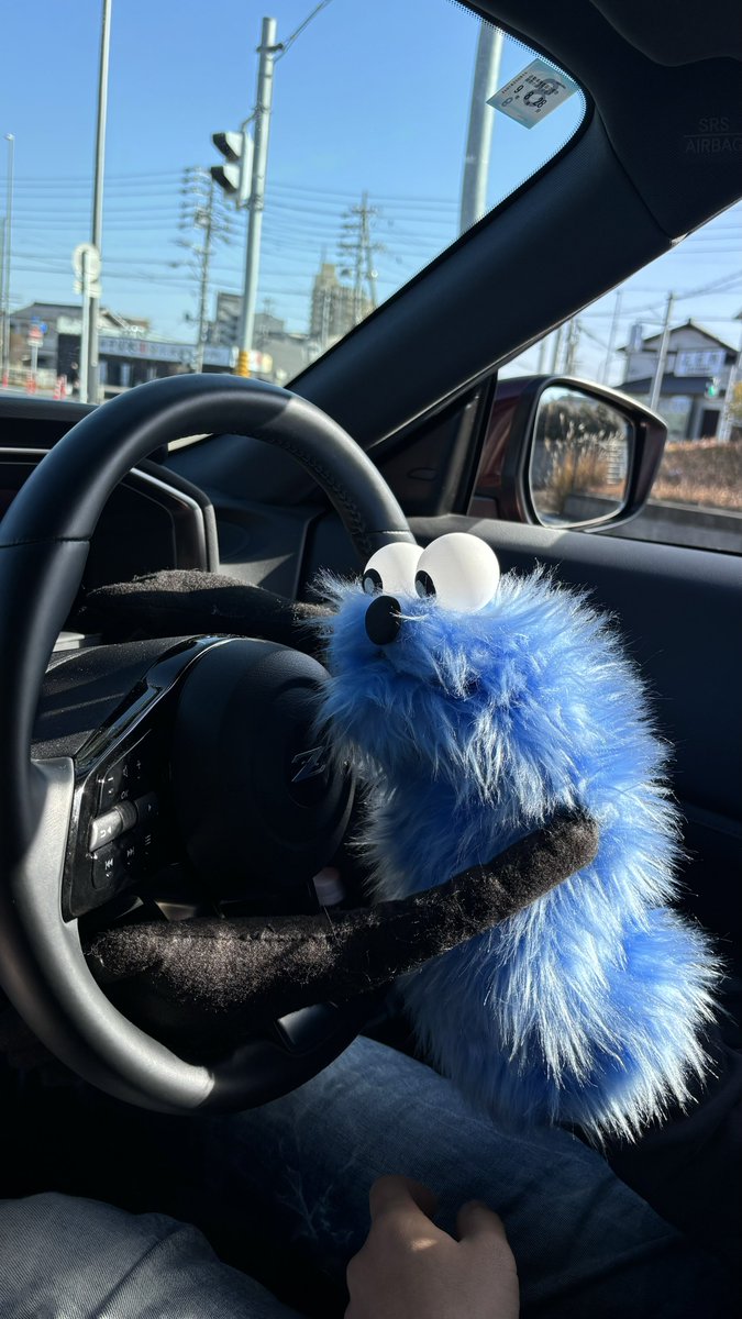 Z運転に挑戦するスンスン
6歳だから無免許運転です😂