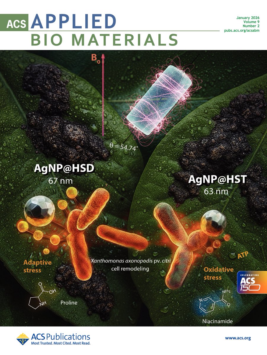 GG_Delgado's tweet photo. Cover Alert! 🚨✨ Excited to see our research on biofunctionalized AgNPs against Citrus Canker featured on the cover of ACS Applied Bio Materials! 🍊🦠

Read it here: https://t.co/onddGti6wT
#MyACSCover @ACSPublications https://t.co/II6Bts5Fbp