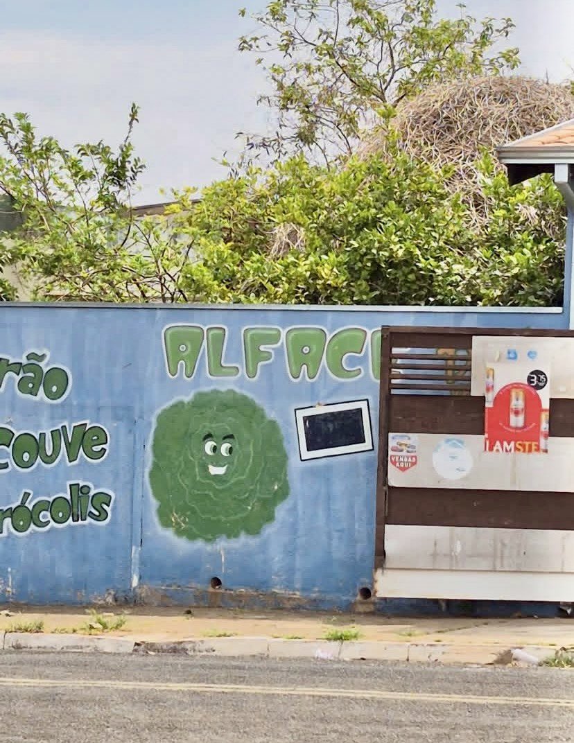 handpaintedbrazil tweet media