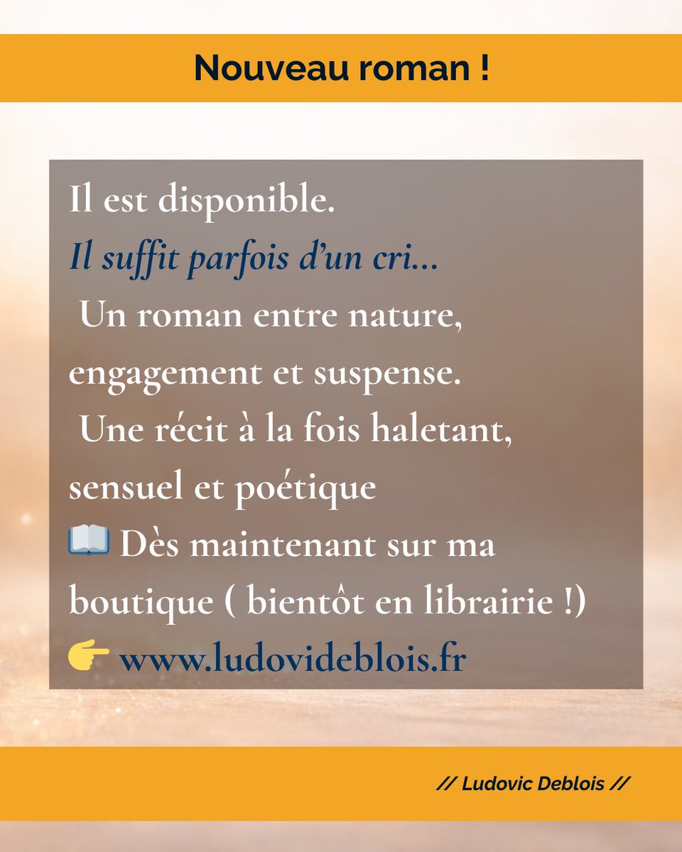 LudovicDeblois's tweet photo. Disponible sur mon site 👉 https://t.co/Z0pHwihYSh https://t.co/zP6GIcX14r