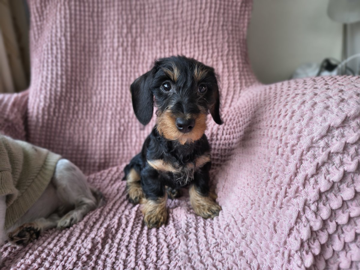 Ton Jacobs tweet media