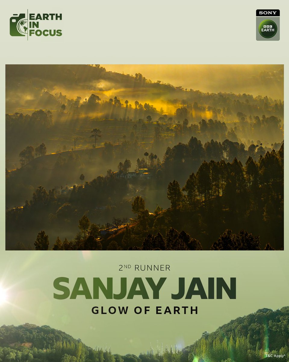 SonyBBCEarth's tweet photo. Striking stories through the lens! 📸​

Meet the runners-up of the #EarthInFocus Photography Contest​

Thank you for every entry, every story, every striking frame!

#SonyBBCEarth #SBBCE #EIF https://t.co/HHDGlXrAV9