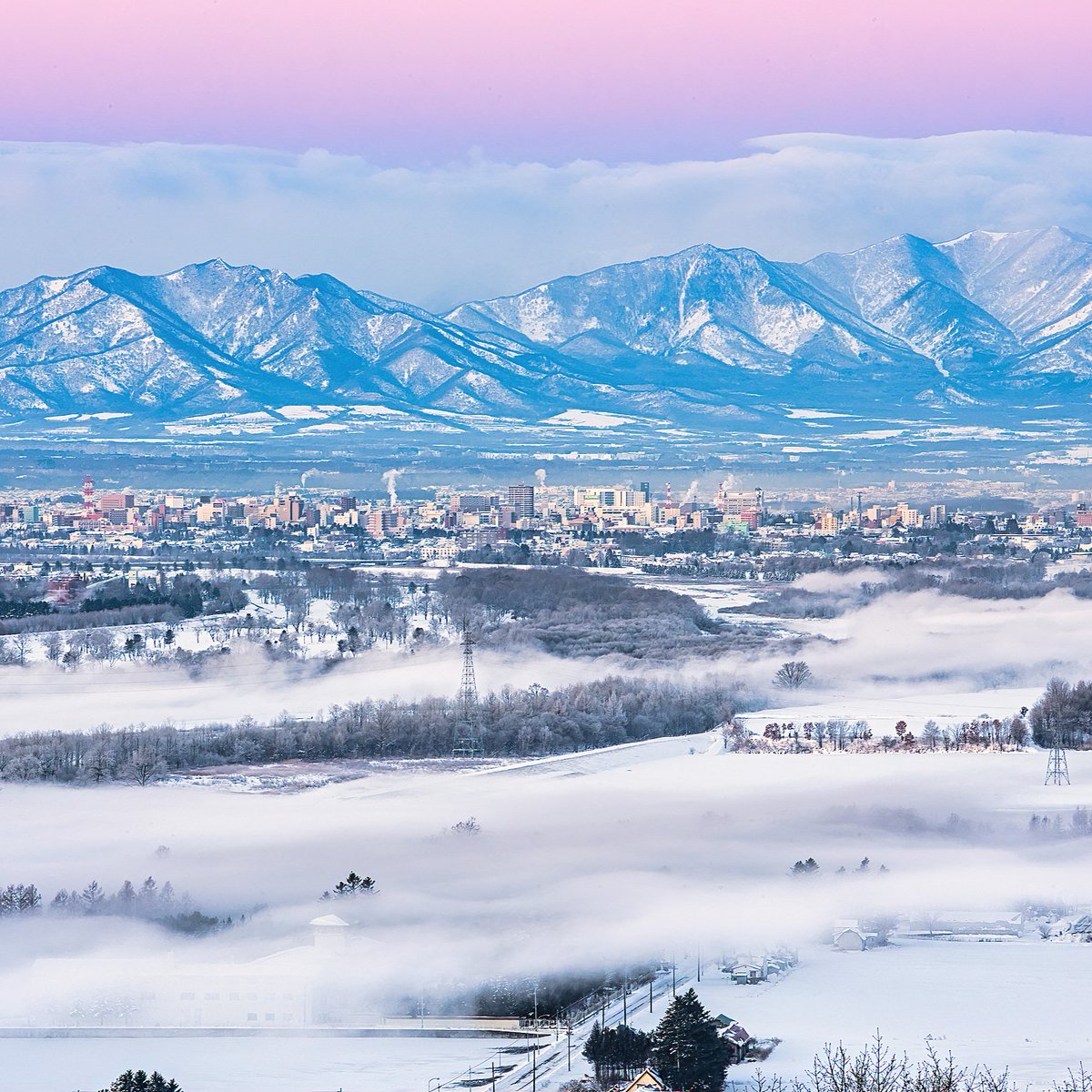 Trip's tweet image. There's regular snow, and then there's Hokkaido snow trip.com/travel-guide/d…