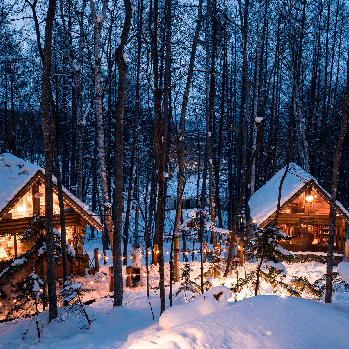 Trip's tweet image. There's regular snow, and then there's Hokkaido snow trip.com/travel-guide/d…