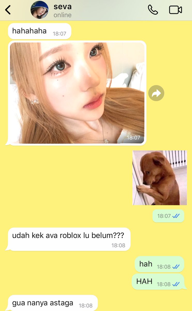 naeinorbit's tweet image. ava blonde roblox

dajeongz seven tweets au