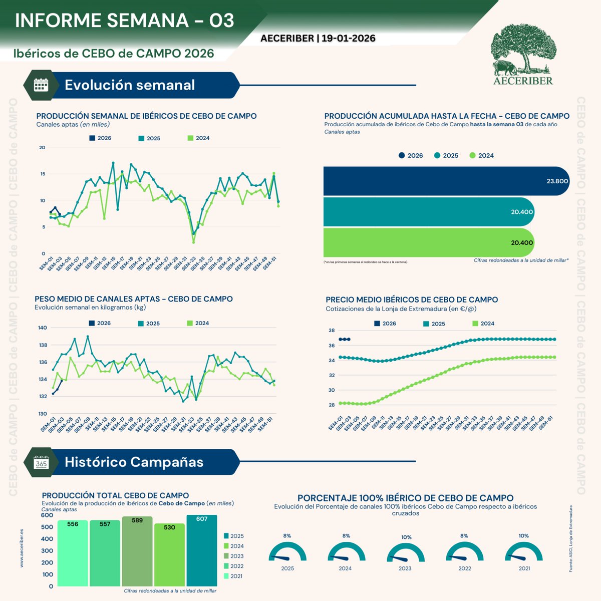 AECERIBER tweet media