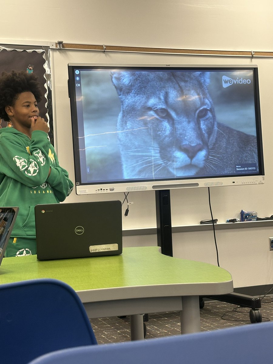 Amy Rogers Baker tweet media