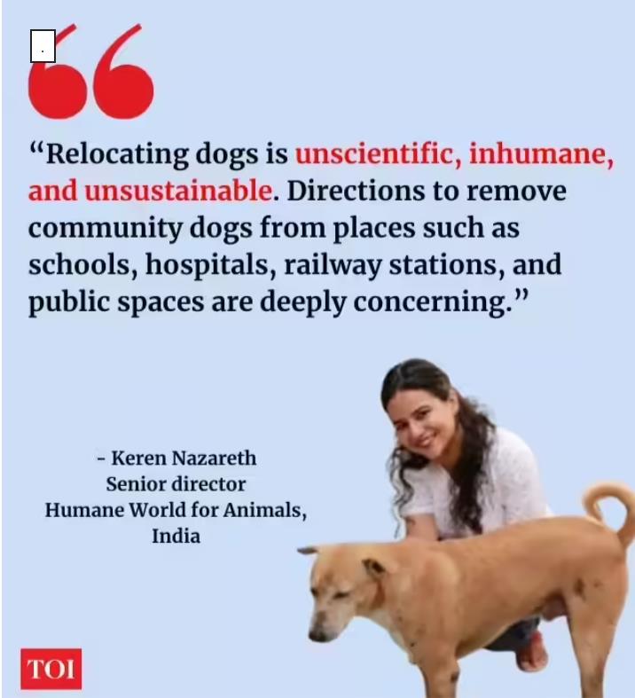 Humane World for Animals India tweet media