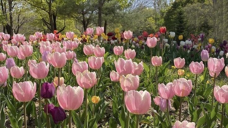 belgiutm's tweet image. tes masuk ht ga #zonauang