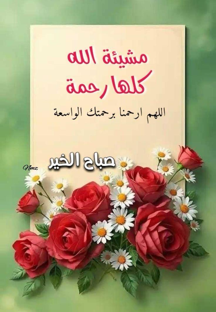 يومكم جميل طيب مطمئن إن شاء الله 🤗🌹💌💐💚❤️🤲🏻

#صباح_الخير

#صباح_السعاده

#صباح_الخير_والسعاده

#اللهم_صل_وسلم_على_نبينا_محمد