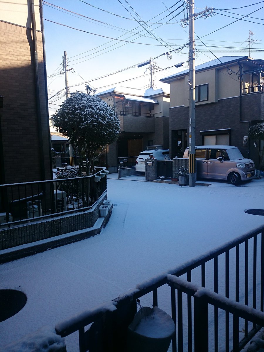 今週は最強最長寒波らしい💦チャチャ地方もいっぺんだけこんだけ積もった事がありました😅ここいらでは大雪⛄雪食べながら歩いてたんが今や懐かしい思い出😊