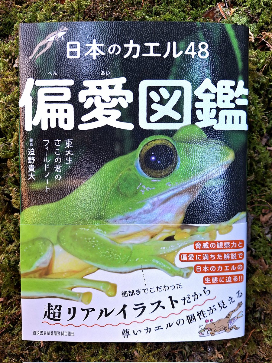 新装版『日本のカエル48偏愛図鑑』が出ました！🐸📖 ・すべて手描き