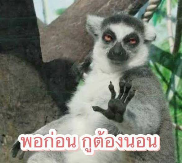 new project is coming…