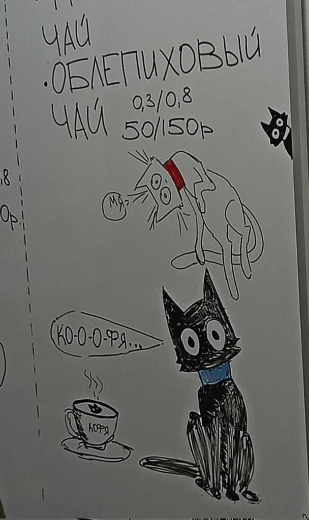 Renardixen's tweet photo. Coffee and Cat do fit together I guess here. https://t.co/WDlfo9OXAb