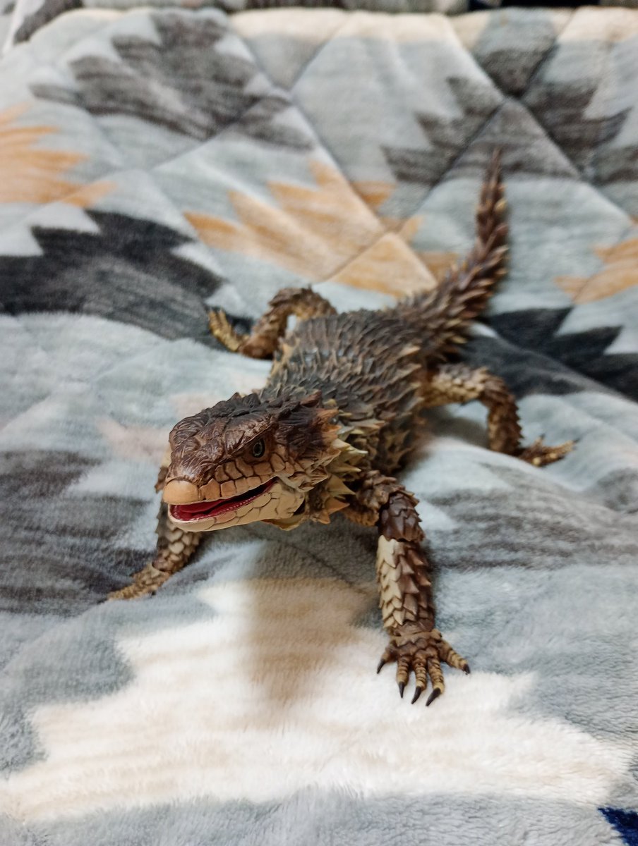 dontoyobareta's tweet photo. ⚠️爬虫類苦手な方ご注意を！⚠️
いきもの大図鑑「オオヨロイトカゲ」
をGeminiのVEOで動画化してみた。
めっちゃリアルに動く😆
#いきもの大図鑑 
#オオヨロイトカゲ 
#smauggiganteus 
#sungazer 
#Gemini 
#バンダイ 
#ガシャポンオンライン https://t.co/nojjAJw0Qu