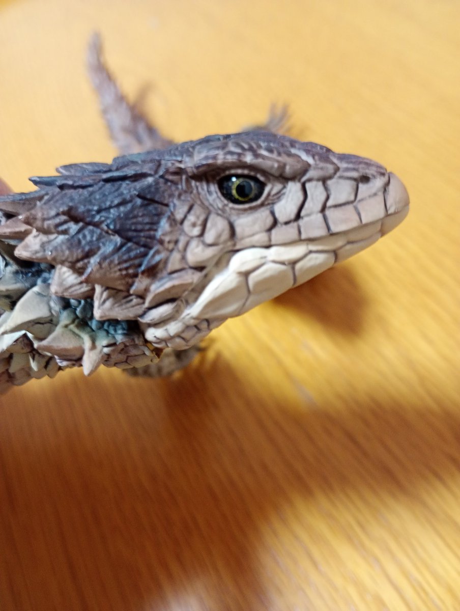 dontoyobareta's tweet photo. ⚠️爬虫類苦手な方ご注意を！⚠️
いきもの大図鑑「オオヨロイトカゲ」
をGeminiのVEOで動画化してみた。
めっちゃリアルに動く😆
#いきもの大図鑑 
#オオヨロイトカゲ 
#smauggiganteus 
#sungazer 
#Gemini 
#バンダイ 
#ガシャポンオンライン https://t.co/nojjAJw0Qu