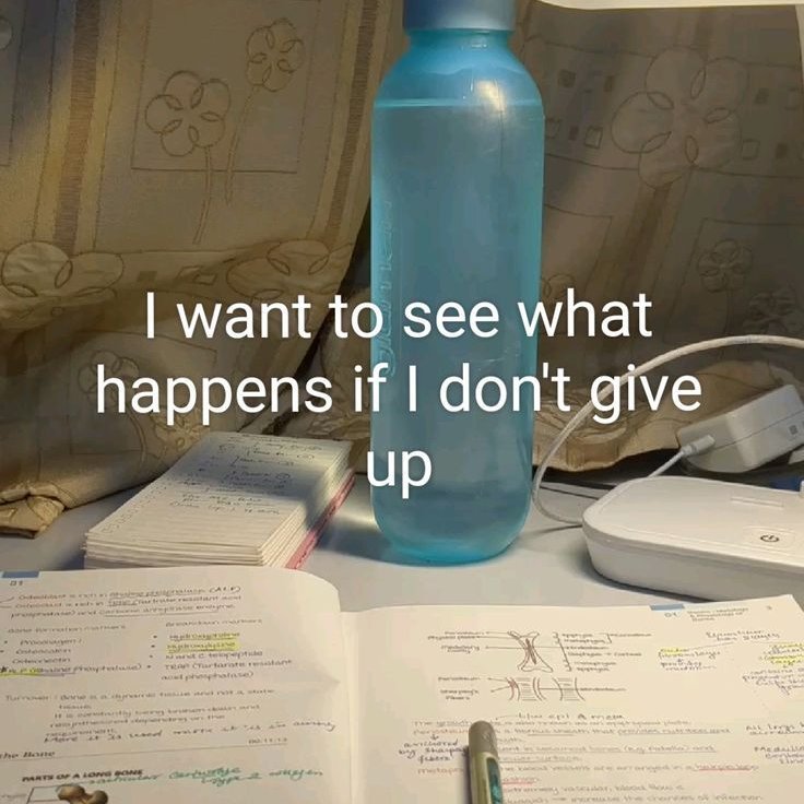 iridescelily's tweet image. 