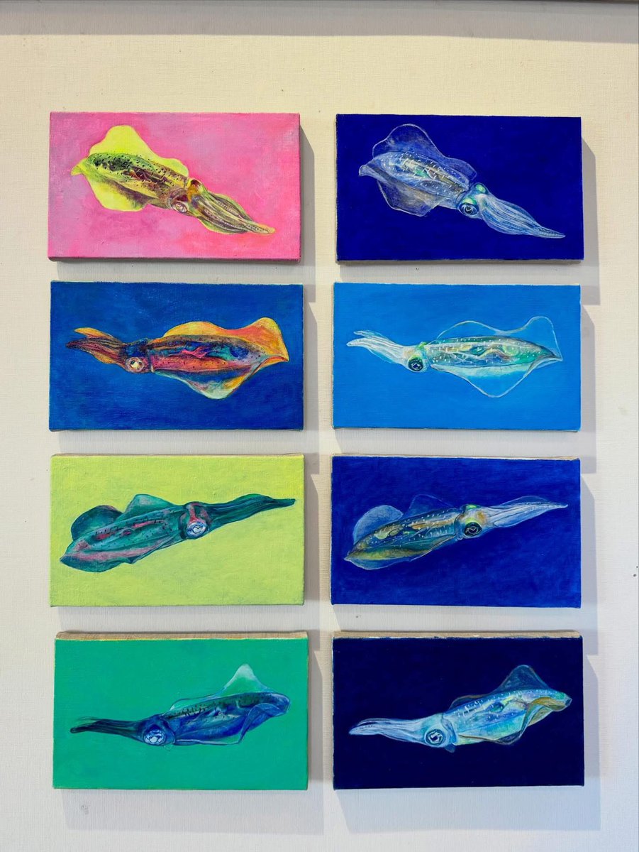 油絵 ヤリイカ 油絵 ヤリイカ 宮内裕賀,Yuka Miyauchi|@GALLERY TAGBOAT