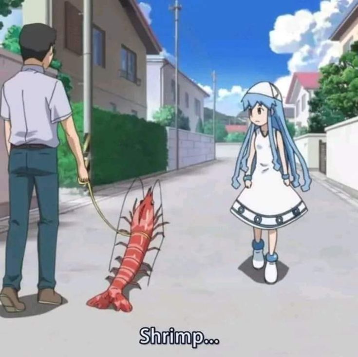 shadoomf🪲🇵🇸(homunculus enjoyer) tweet media