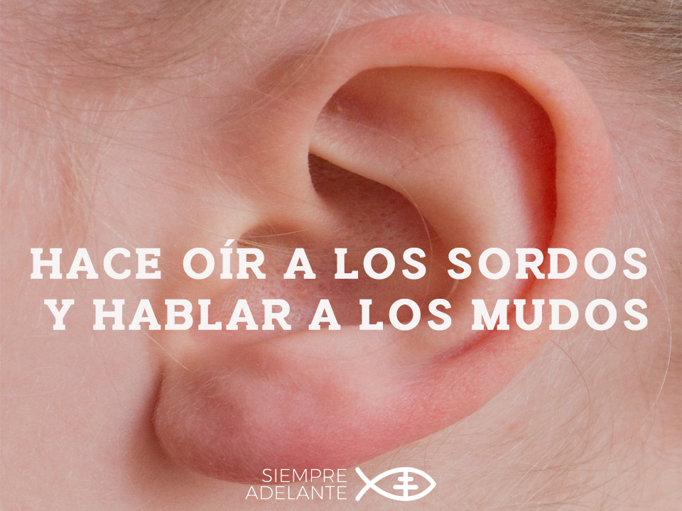 #EvangelioDelDía| Mc 7, 31-37. “Hace oír a los sordos y hablar a los mudos”. archisevillasiempreadelante.org/palabraviva-13…

#PalabraViva #SiempreAdelante