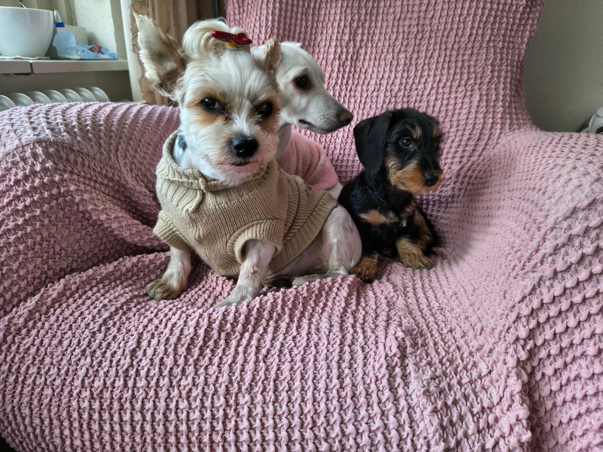 Ton Jacobs tweet media