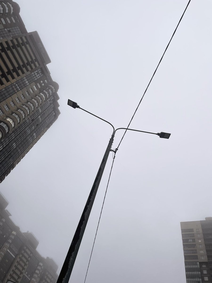 Книгиня 📚🧶 tweet media