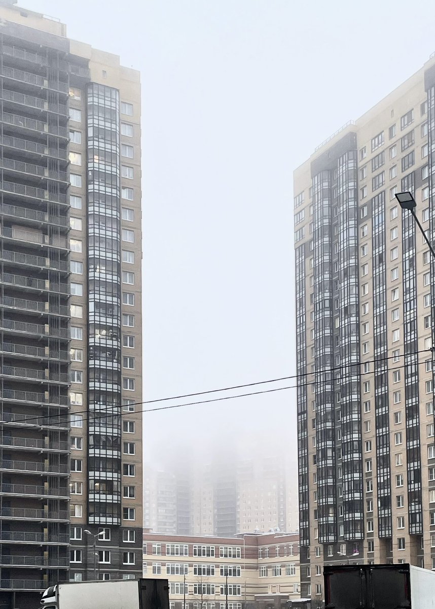 Книгиня 📚🧶 tweet media