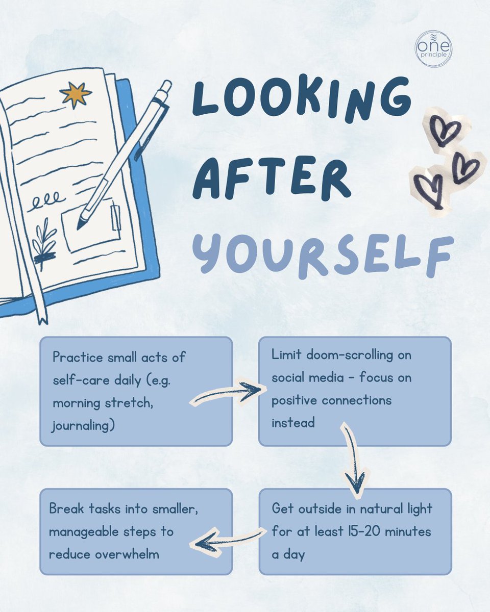 Principle Cleaning Services tweet media