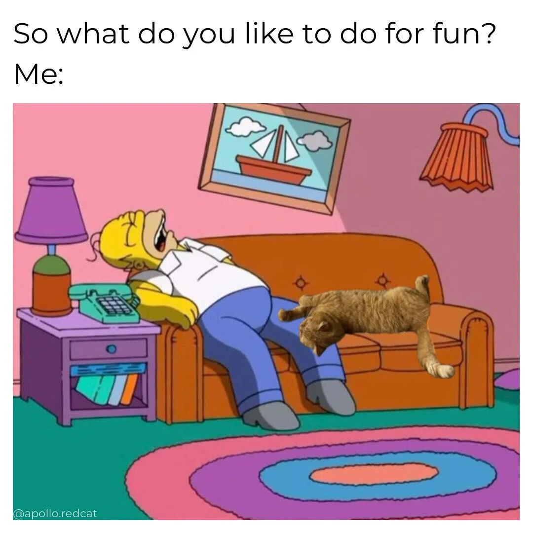 WholesomeMemes (@wholesomememe) on Twitter photo 