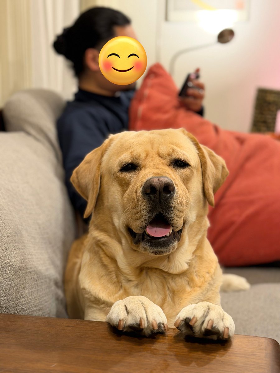 父ちゃんが帰ってきて嬉しーぬ✨