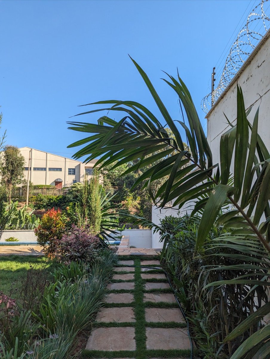 Top Landscape Architecture Firm in Kenya tweet media
