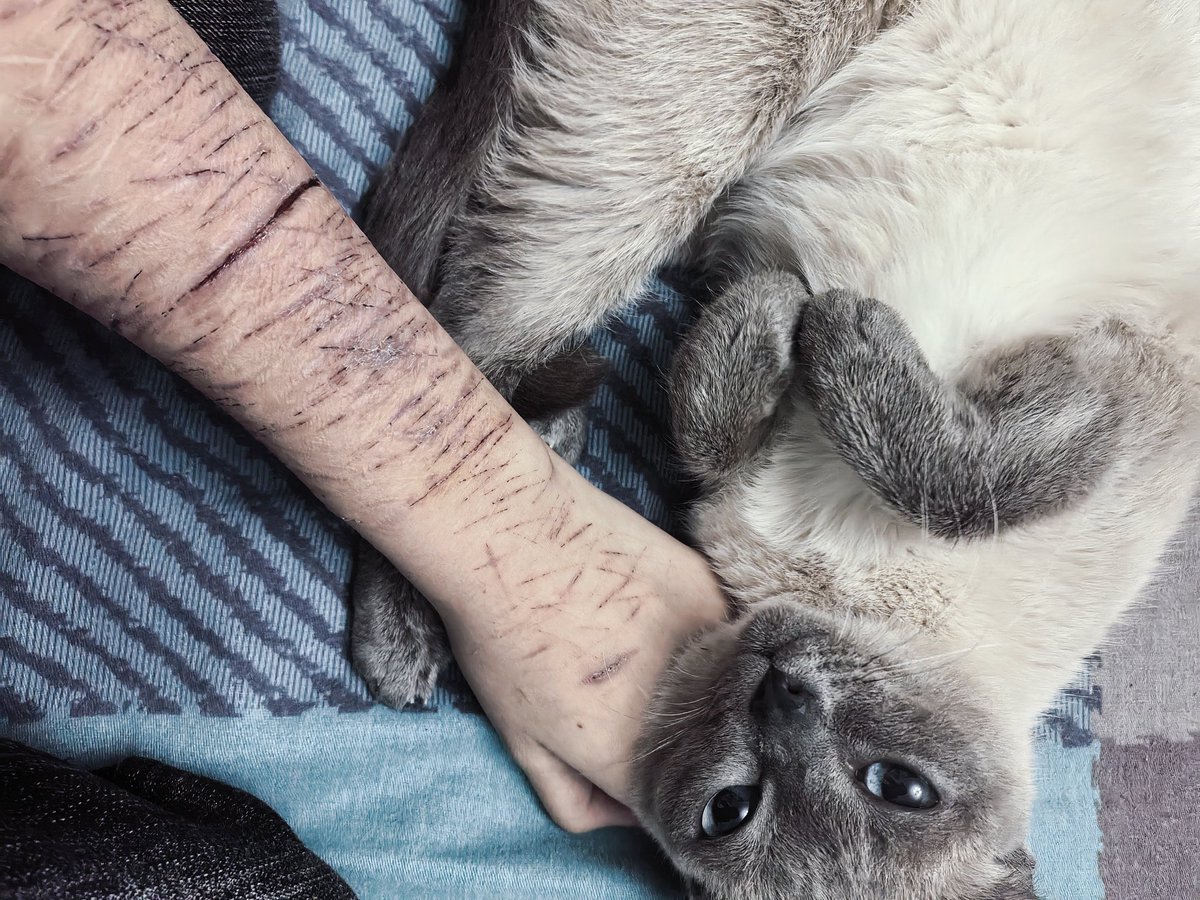 Туман (@maichongsheng) on Twitter photo 